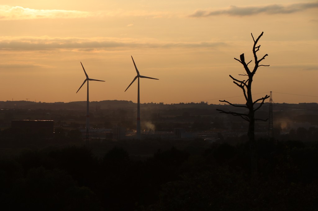 Nieuw festival presenteert grenzeloze&nbsp;muziek