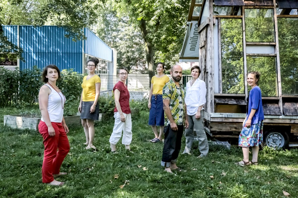 Saprophytes version 10.0